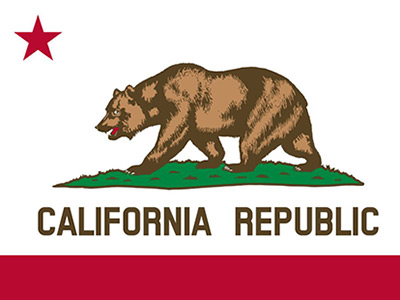 State Flag